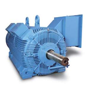 Features of medium voltage motor
